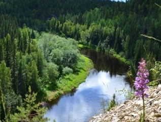 Пинежские реки