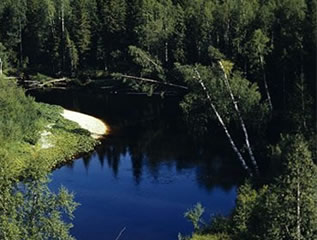 Пинежские реки