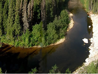 Пинежские реки